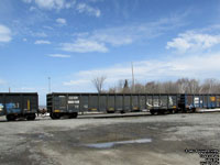 Crab Orchard and Egyptian Railway - COER 805103