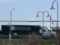 Ryder - Enderlein