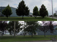 Bourret Entreposage, 3025 Power, Drummondville,QC